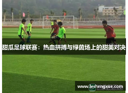 甜瓜足球联赛：热血拼搏与绿茵场上的甜美对决
